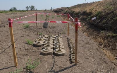 “Araz Vadisi İqtisadi Zonası”nın ərazisi minalardan tam təmizlənib
