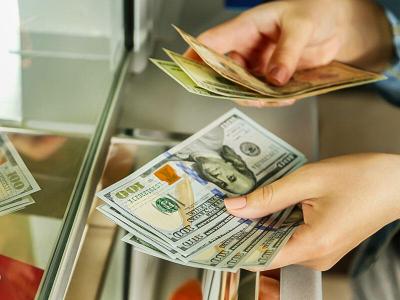 "Bu ay banklara valyuta satışı artıb"