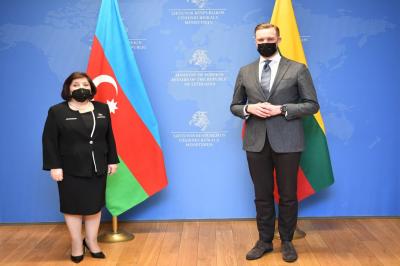 Sahibə Qafarova Litvanın xarici işlər naziri ilə görüşüb - Foto
