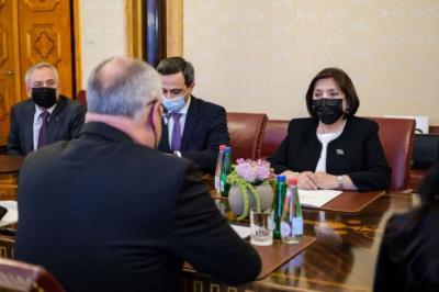 Estoniya Prezidenti Sahibə Qafarovanı qəbul edib - Foto