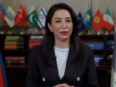 “Beynəlxalq qurumların Ermənistanın bu təcavüzünə qarşı dərhal sərt reaksiya verməsini tələb edirəm”