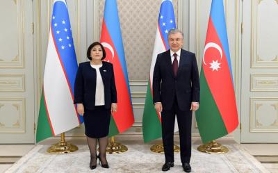 Özbəkistan Prezidenti Milli Məclisin sədrini qəbul edib