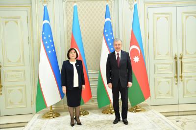 Özbəkistan Prezidenti Sahibə Qafarovanı qəbul edib - Foto