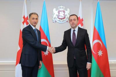 Gürcüstanın Baş naziri Rəşad Nəbiyevi qəbul edib