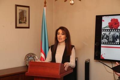 “Təklif gələrsə Azərbaycan hökuməti vizadan azadetmə məsələsinə baxa bilər”