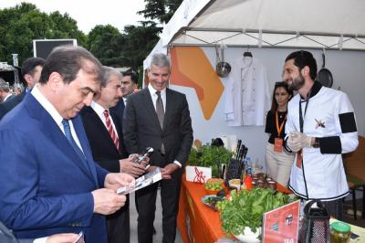 Gənclərin peşə seçimi məsələlərinə dəstək