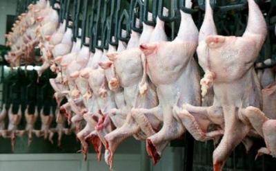 AQTA "Belarus toyuqları" ilə bağlı məsələyə aydınlıq gətirib