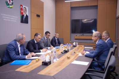 Rəşad Nəbiyev Avropa Parlamenti komitəsinin sədr müavini ilə görüşüb