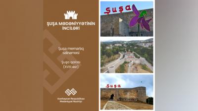 "Şuşa İli"nə həsr olunmuş "Mədəniyyət: problemlər və perspektivlər" adlı Beynəlxalq elmi Konfrans keçirilib