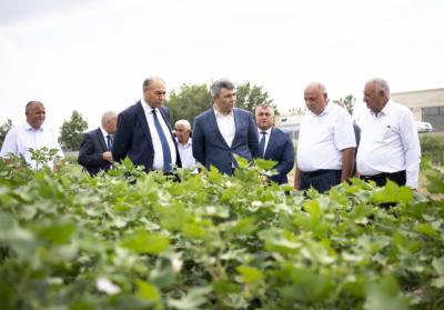 İnam Kərimov Tərtər və Bərdədə fermerlərlə görüşüb