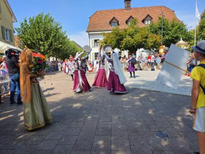 “Azərbaycanın Dostları” Birliyi İsveçrədə festivalın əsas hadisəsi adlandırılıb