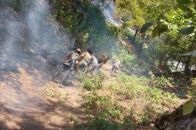 FHN: Zaqatalada meşə yanğınının yayılmasının qarşısı alınıb