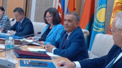 "Kitabxana bir mədəniyyət fenomeni kimi"