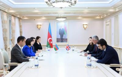 Sahibə Qafarova Böyük Britaniya səfiri ilə görüşüb