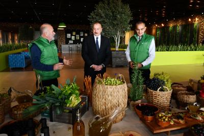 Prezident Zirədə zeytun yağı və zeytun məhsullarının emalı zavodunun açılışında iştirak edib -  YENİLƏNİB