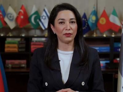 Ombudsman növbəti erməni təxribatına münasibət bildirib