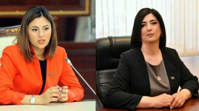 Fransa Senatının qətnaməsi sülh prosesinə zərbədir
