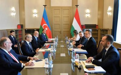 Azərbaycan Macarıstanla dərman vasitələrinin birgə istehsalını müzakirə edib
