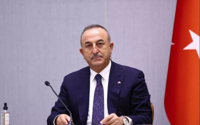 Çavuşoğlu: "Qarabağda Azərbaycan bayrağının dalğalanması Qərbin xoşuna gəlmir"