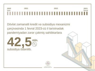 Pandemiyadan zərər çəkmiş sahibkarlara nə qədər subsidiya ödənilib?