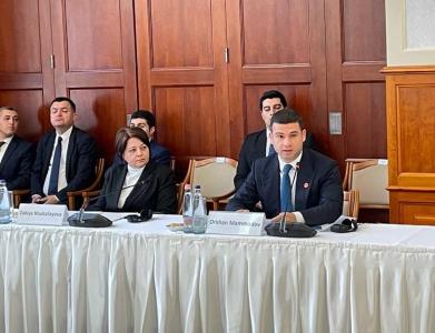 Orxan Məmmədov: "Macarıstan şirkətləri azad edilmiş ərazilərə investisiya yatırmağa daha çox maraqlıdır"