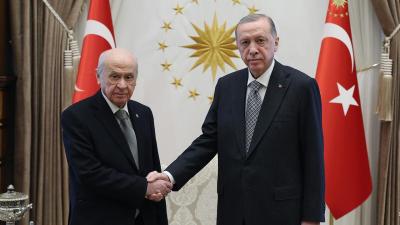 Ərdoğan Dövlət Baxçalı ilə görüşəcək