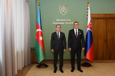 Ceyhun Bayramov Slovakiya Milli Şurasının sədri ilə görüşüb