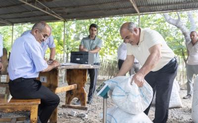 Azərbaycanda tədarük məntəqələrinə 290 ton yaş barama təhvil verilib