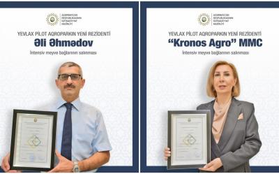 Yevlax Pilot Aqroparkında daha 1 milyon manat dəyərində intensiv meyvə bağları salınacaq
