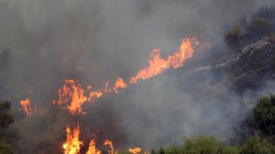 Əlcəzairdə 18 meşə yanğını davam edir