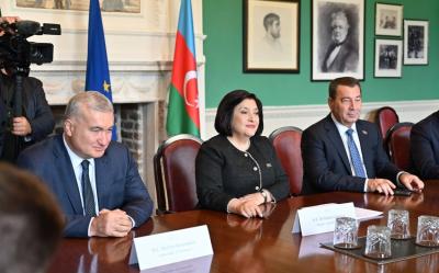 "Antiterror tədbirləri beynəlxalq hüquqa tam uyğun şəkildə reallaşdırılıb"  - Sahibə Qafarova