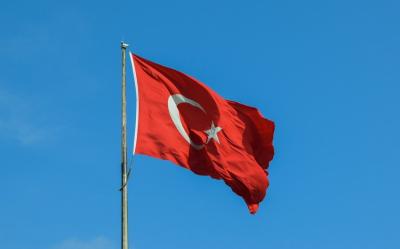 Türkiyə İsveçdə Ərdoğana qarşı törədilən təxribatları kəskin pisləyib