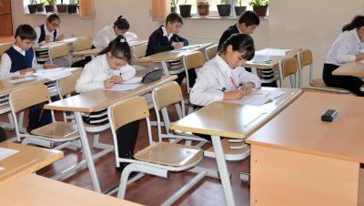 Fənn kurikulumunda essenin növlərinə mütəxəssis baxışı
