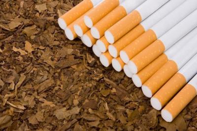 Azərbaycanda tütün istehsalı 22 faiz artıb