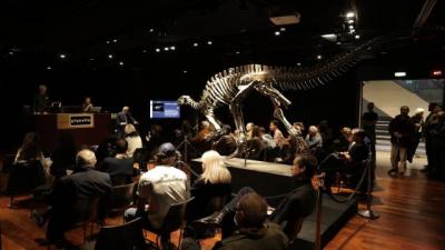 150 milyon illik dinozavr skeleti 930 min avroya satıldı