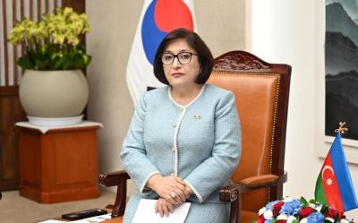 Sahibə Qafarova: "Bəzi ölkələr Cənubi Qafqazda sülhün yaranmasını istəmirlər"