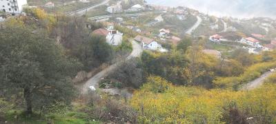 "Laçında, elə bil, cənnətdəyəm" -  Reportaj