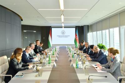 Mikayıl Cabbarov Macarıstanın xarici işlər və ticarət naziri Peter Siyarto ilə görüşüb