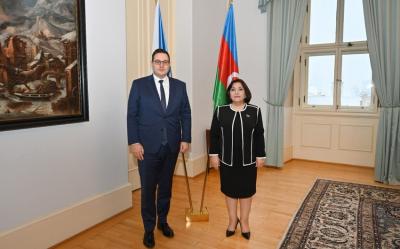 Azərbaycan parlamentinin sədri Çexiyanın xarici işlər naziri ilə görüşüb