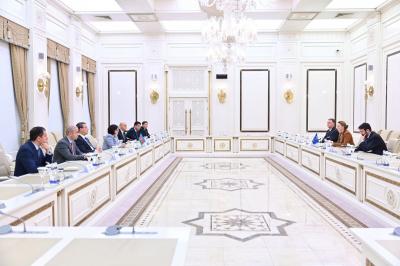 Milli Məclisin sədri Avropa Şurasının Baş katibi ilə görüşüb