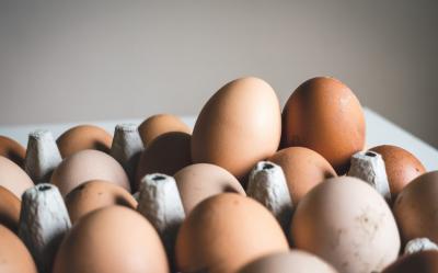 “Yumurta istehsalı tələbatı ödəyir, bahalaşmaya əsas yoxdur” -  Assosiasiya