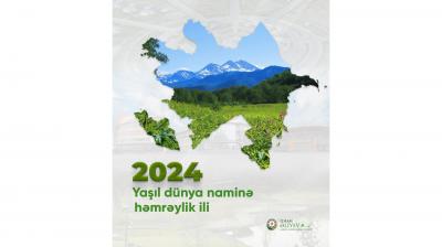 Azərbaycanın sürətli "yaşıl keçid"i 