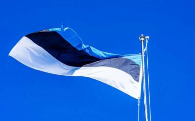 Estoniyada əhalinin kasıblaması cinayətkarlığın artmasına səbəb olub