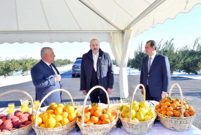 Prezident İlham Əliyev Lənkəran rayonuna gedib -  YENİLƏNİB