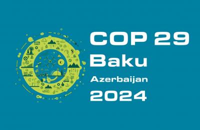 COP29 Təşkilat Komitəsi - gender balansı tam təmin olunub