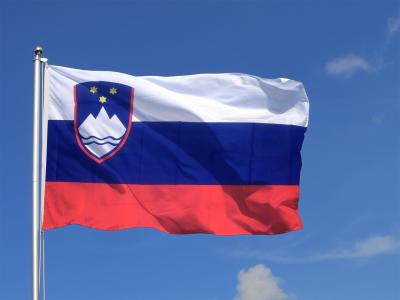 Sloveniyada həbsxanalarda doluluq nisbəti 139 faizə yüksəlib