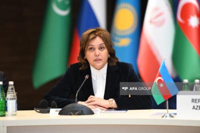 "COP29-da Xəzərdəki ekoloji dəyişiklik problemləri mühüm yer tutacaq" -  Umayra Tağıyeva