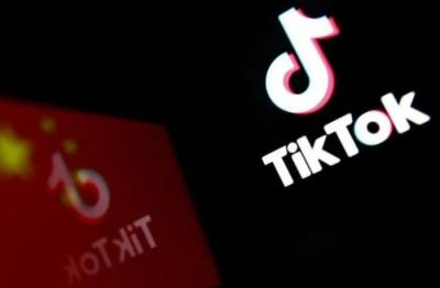 Almaniya hökuməti "TikTok" hesabı açıb