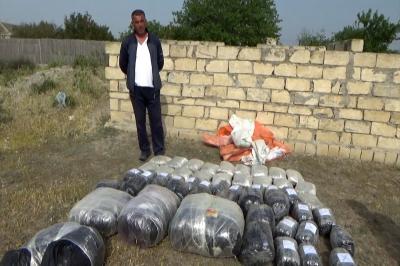 Azərbaycana İrandan gətirilən 87 kq narkotik aşkarlanıb -  Neftçala sakini saxlanılıb
