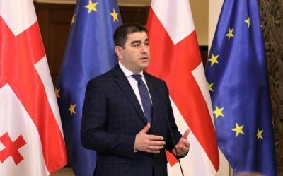 Gürcüstan parlamentin sədri: Nə ABŞ, nə də Avropa ölkəmizdəki təsirlərinin şəffaflığını istəyir